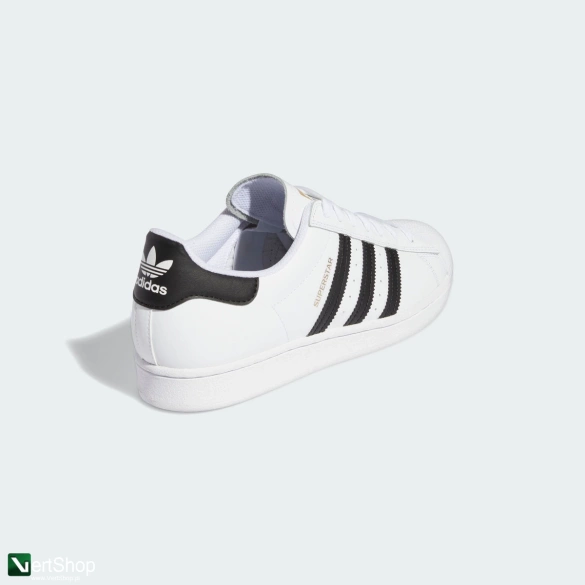 buty Adidas Superstar ADV (White/Black)