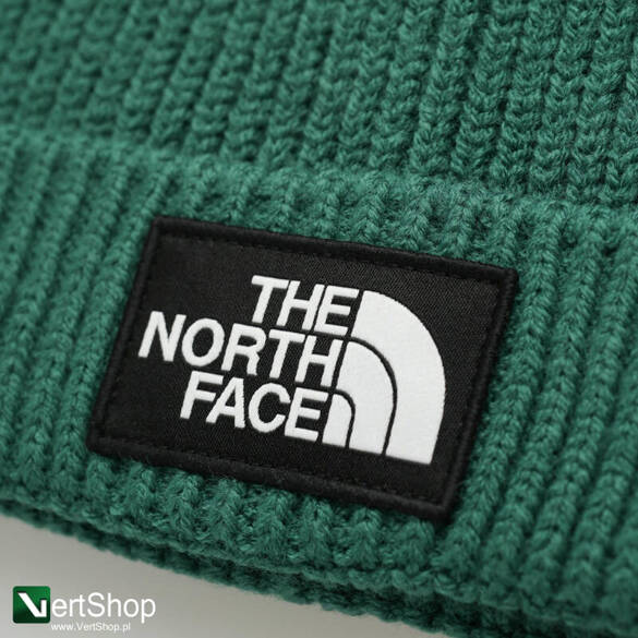 The North Face Tnf Logo Box czapka zimowa zielona