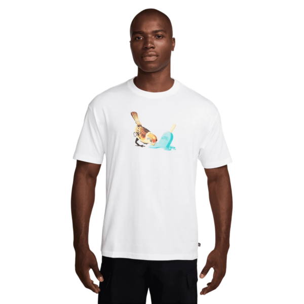 pol pl Koszulka Nike Sb Ice Cream T Shirt 32711 2