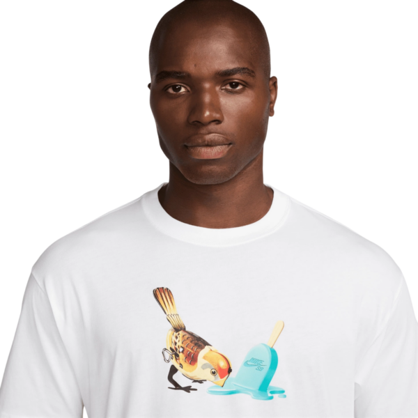 pol pl Koszulka Nike Sb Ice Cream T Shirt 32711 3